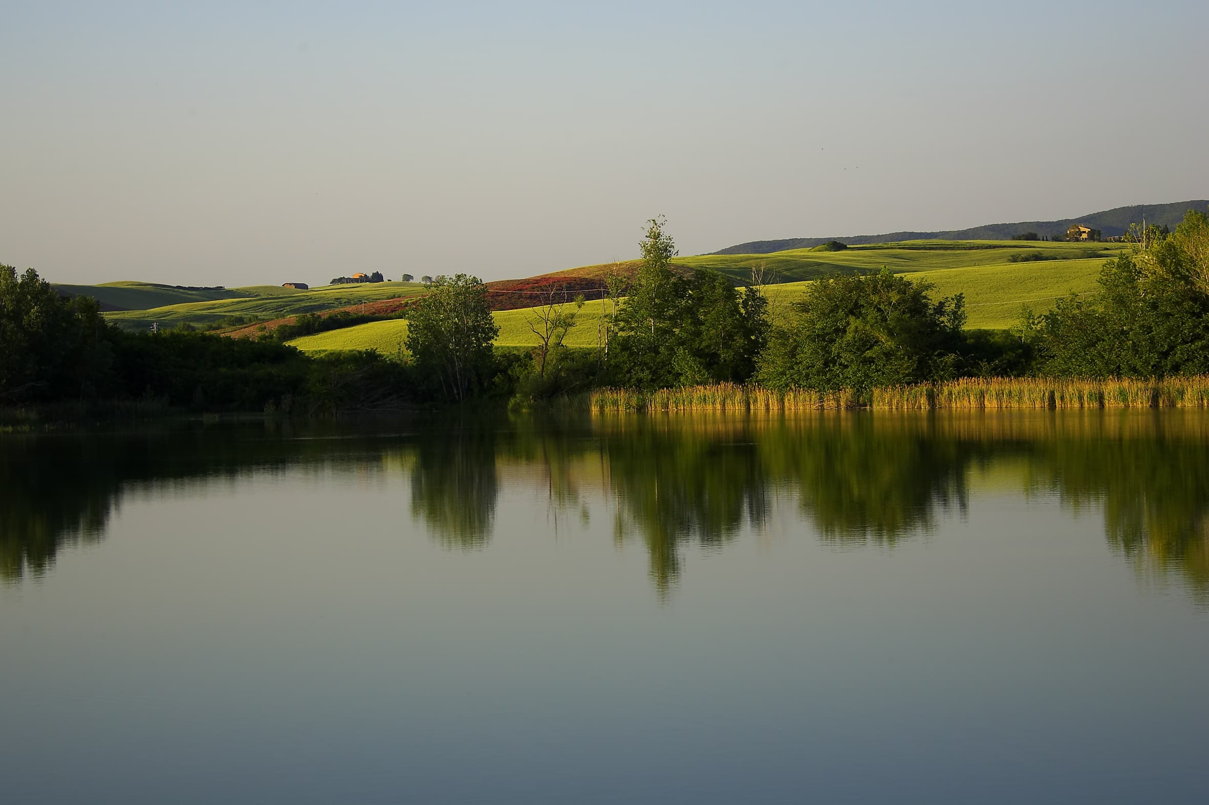 Oasi di Santa Luce